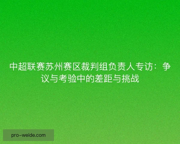 中超联赛苏州赛区裁判组负责人专访：争议与考验中的差距与挑战