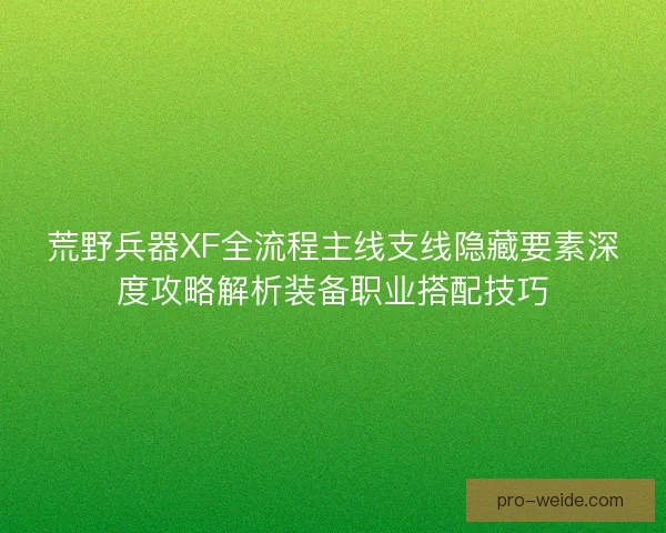 荒野兵器XF全流程主线支线隐藏要素深度攻略解析装备职业搭配技巧